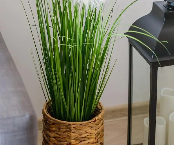 Osiedle Feniks By Renters Lejlighed *